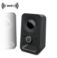 WF-465 : 1080p IMX323 Sony Chip Super Low Light Spy Camera with WiFi Digital IP Signal, Recording & Remote Internet Access, Camera Hidden in Multimedia Speaker