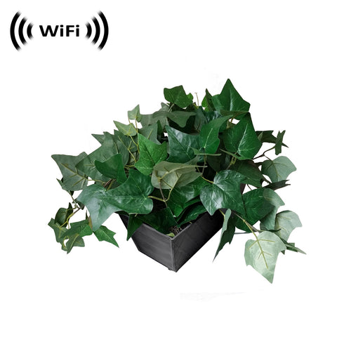 WF-540 : 1080p IMX323 Sony Chip Super Low Light Wireless Spy Camera with WiFi Digital IP Signal, Recording & Remote Internet Access (Camera Hidden in a Fake Plant)